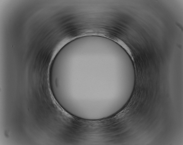 X0000094961096200711291122