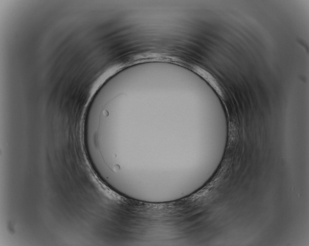 X0000094961098200711291122