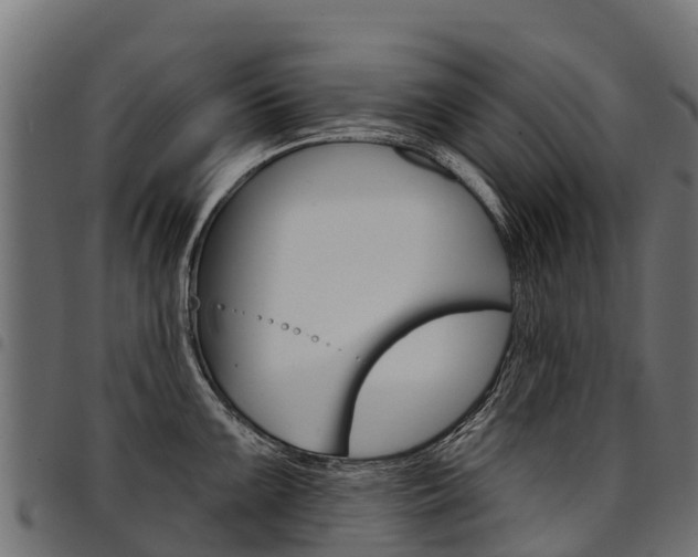 X0000094961099200711291122