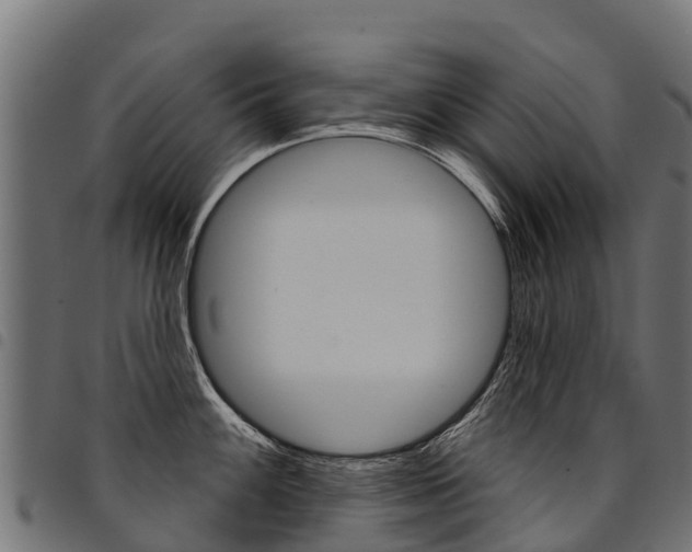 X0000094961100200711291122