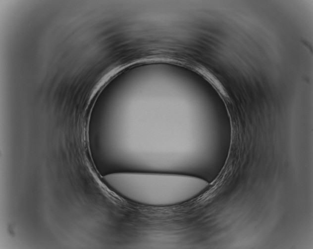 X0000094961101200711291122