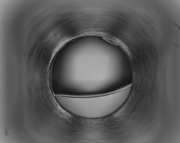 X0000094961102200711291122