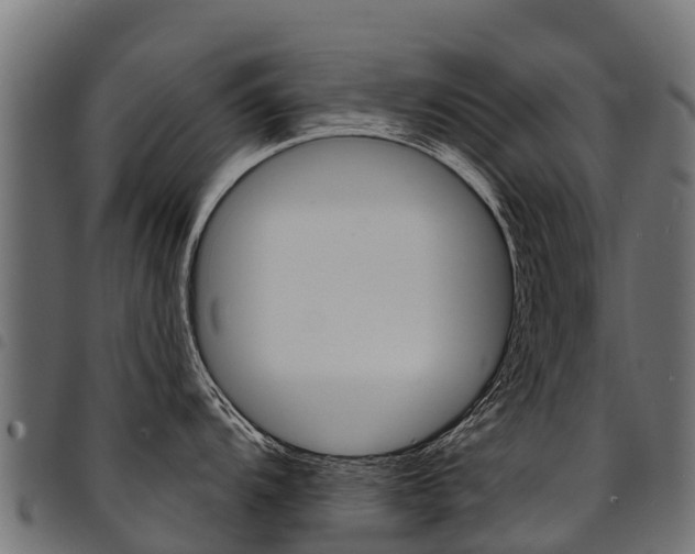 X0000094961104200711291122