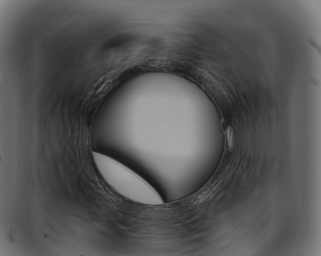 X0000094961107200711291121