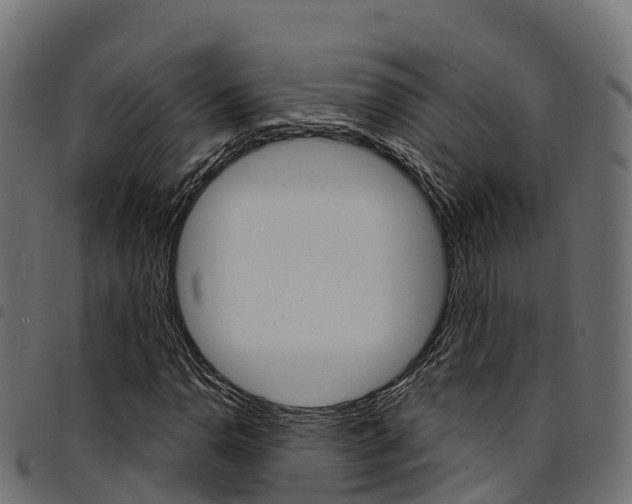 X0000094961110200711291121