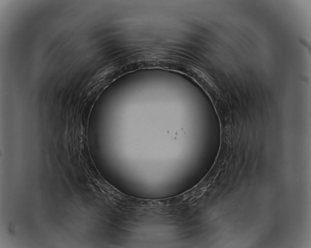 X0000094961111200711291121