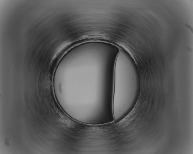 X0000094961115200711291121