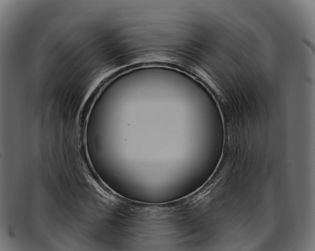 X0000094961116200711291121