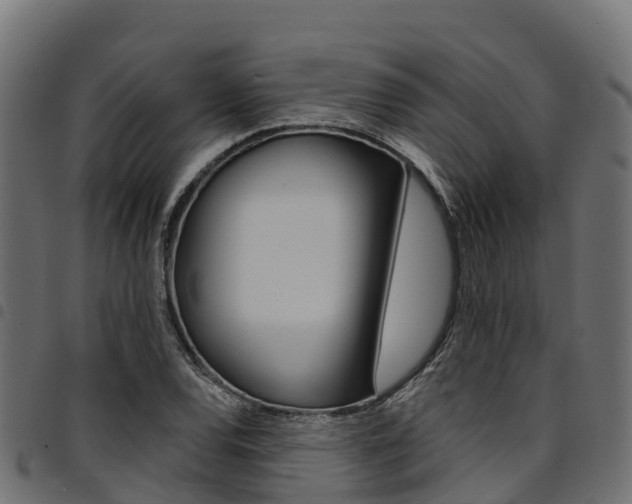 X0000094961120200711291121