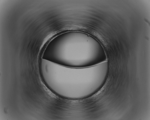 X0000094961122200711291121