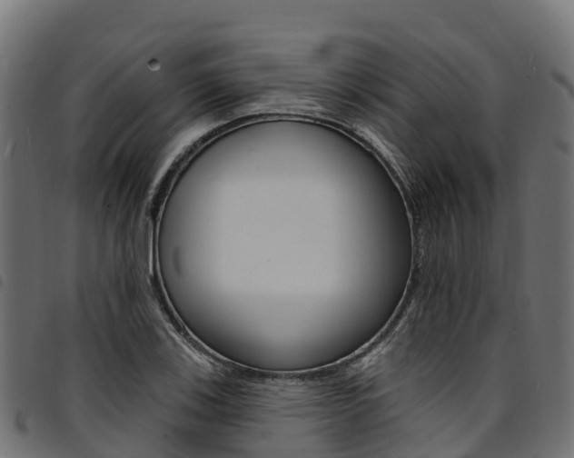 X0000094961123200711291121