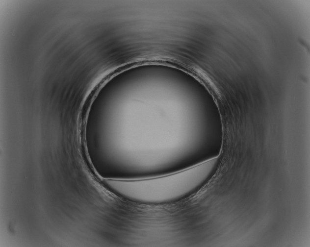 X0000094961124200711291121