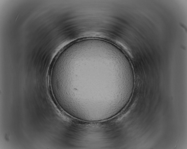 X0000094961125200711291121