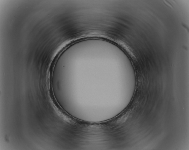 X0000094961126200711291121