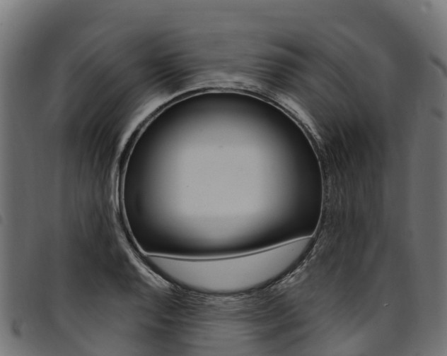X0000094961128200711291121