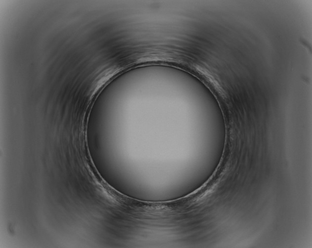 X0000094961129200711291121