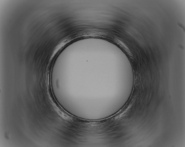 X0000094961130200711291121