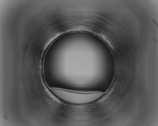 X0000094961134200711291122