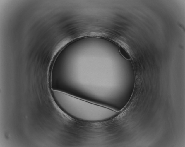 X0000094961135200711291122