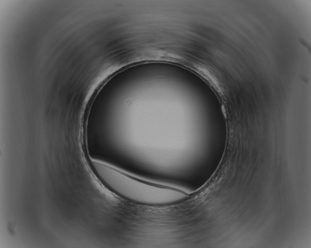 X0000094961136200711291122