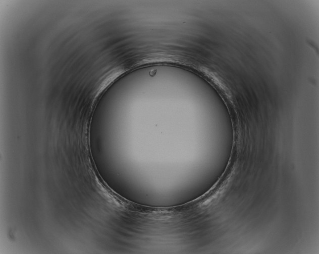 X0000094961137200711291122