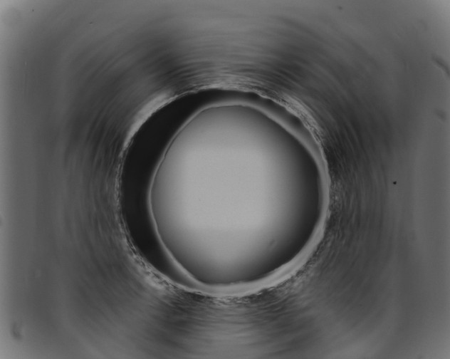X0000094961138200711291122
