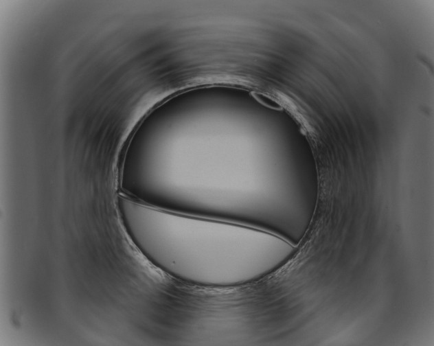 X0000094961140200711291122