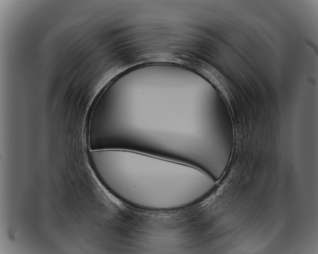 X0000094961141200711291122