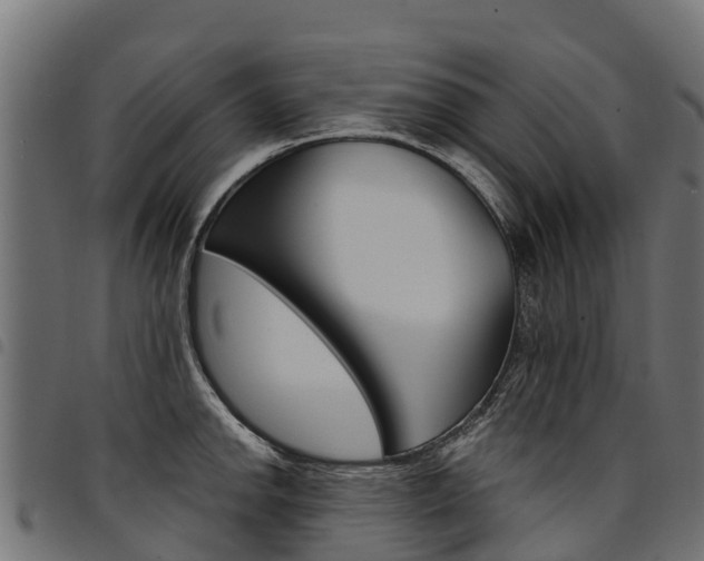 X0000094961142200711291122