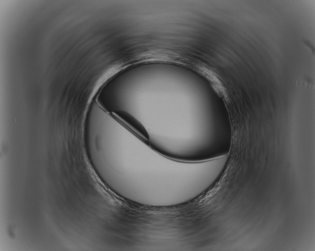 X0000094961146200711291122