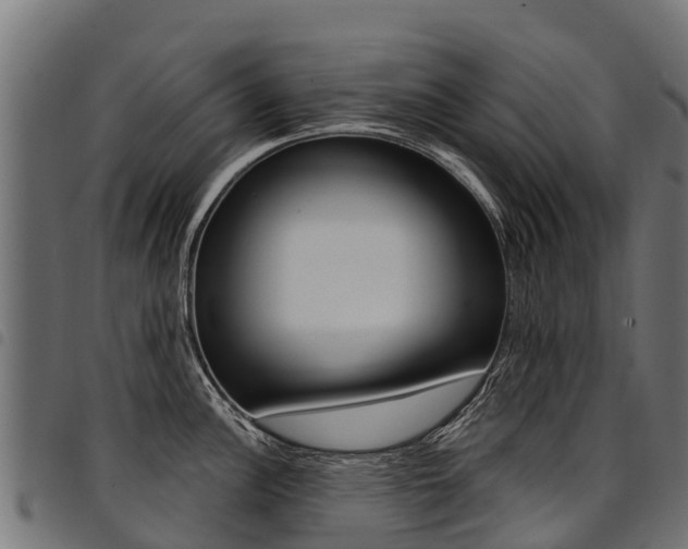 X0000094961148200711291122