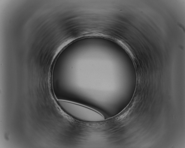 X0000094961149200711291122