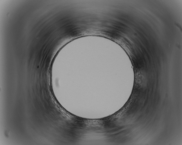 X0000094961150200711291122