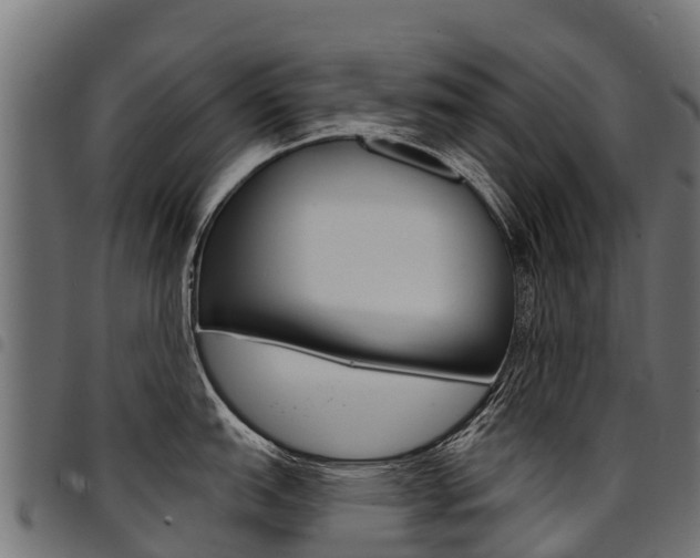 X0000094961151200711291122