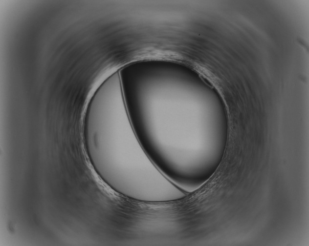 X0000094961152200711291122