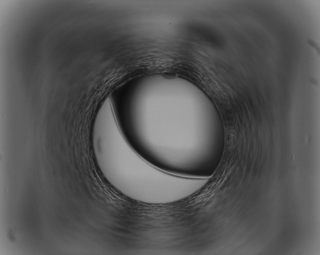 X0000094961153200711291121
