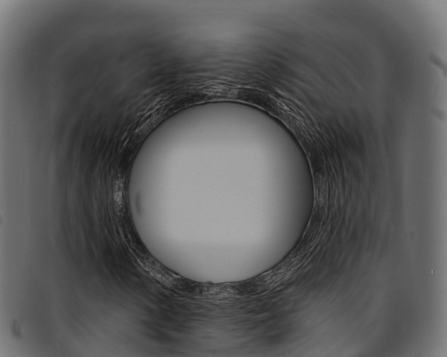 X0000094961154200711291121