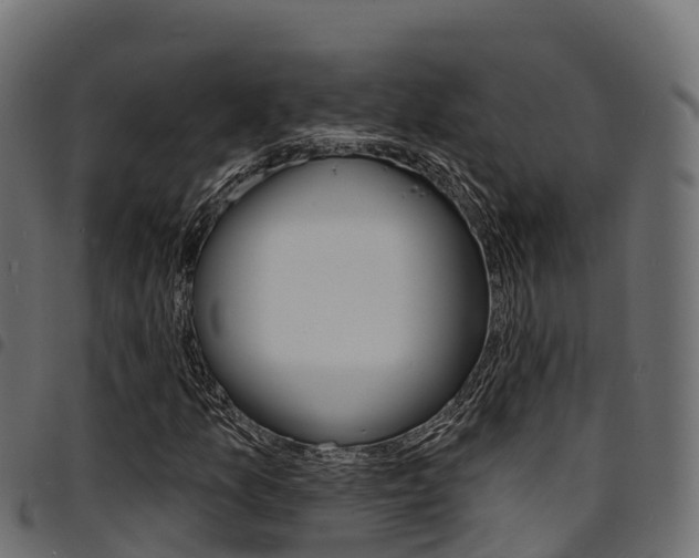 X0000094961157200711291121