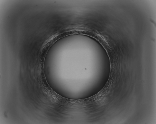 X0000094961159200711291121