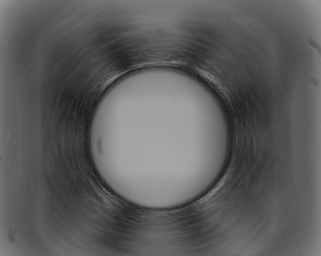 X0000094961161200711291121