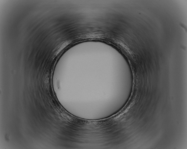 X0000094961162200711291121