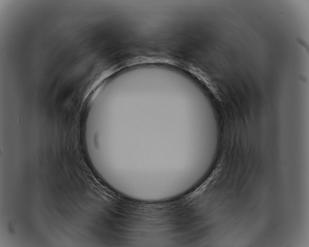 X0000094961165200711291121