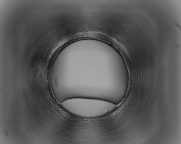 X0000094961166200711291121