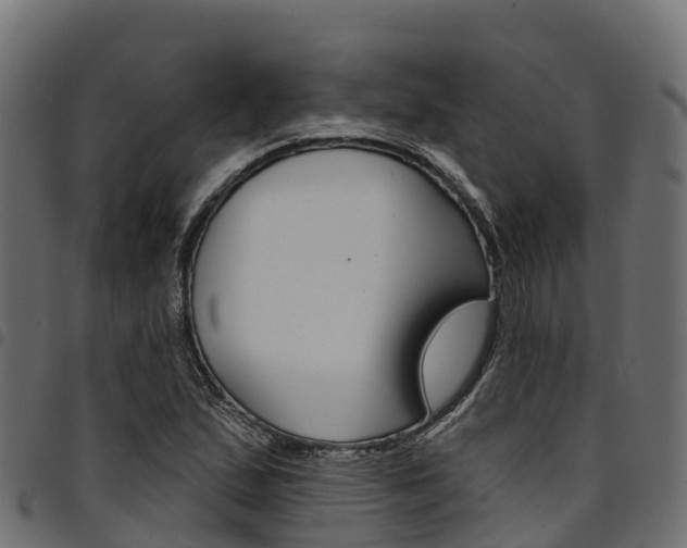 X0000094961167200711291121