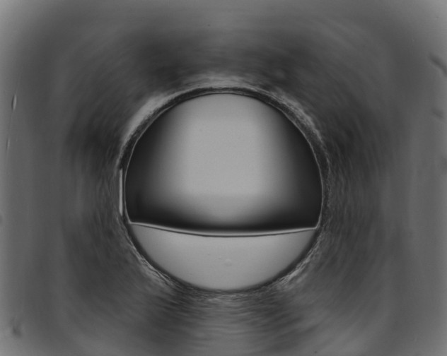 X0000094961175200711291121