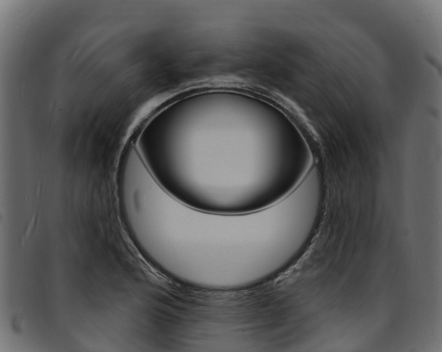 X0000094961176200711291121
