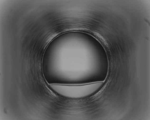 X0000094961177200711291121