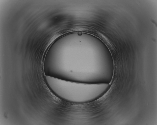 X0000094961178200711291121
