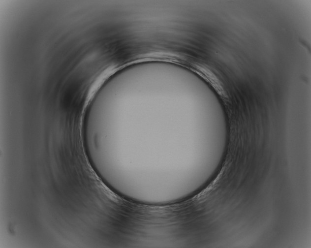 X0000094961180200711291121