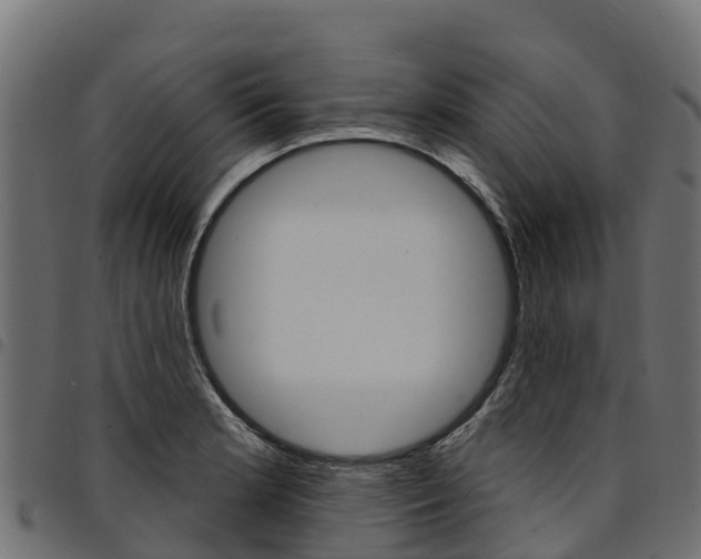 X0000094961181200711291121